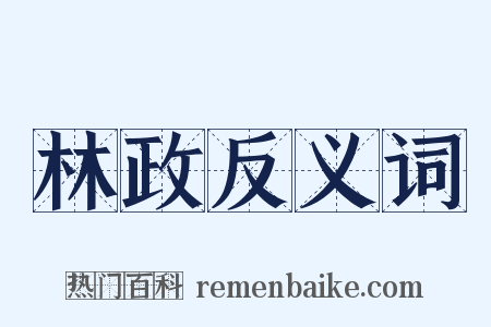 林政反义词是什么意思的图片